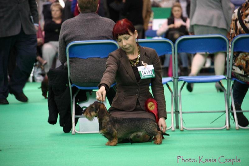 Crufts2011_2 948.jpg